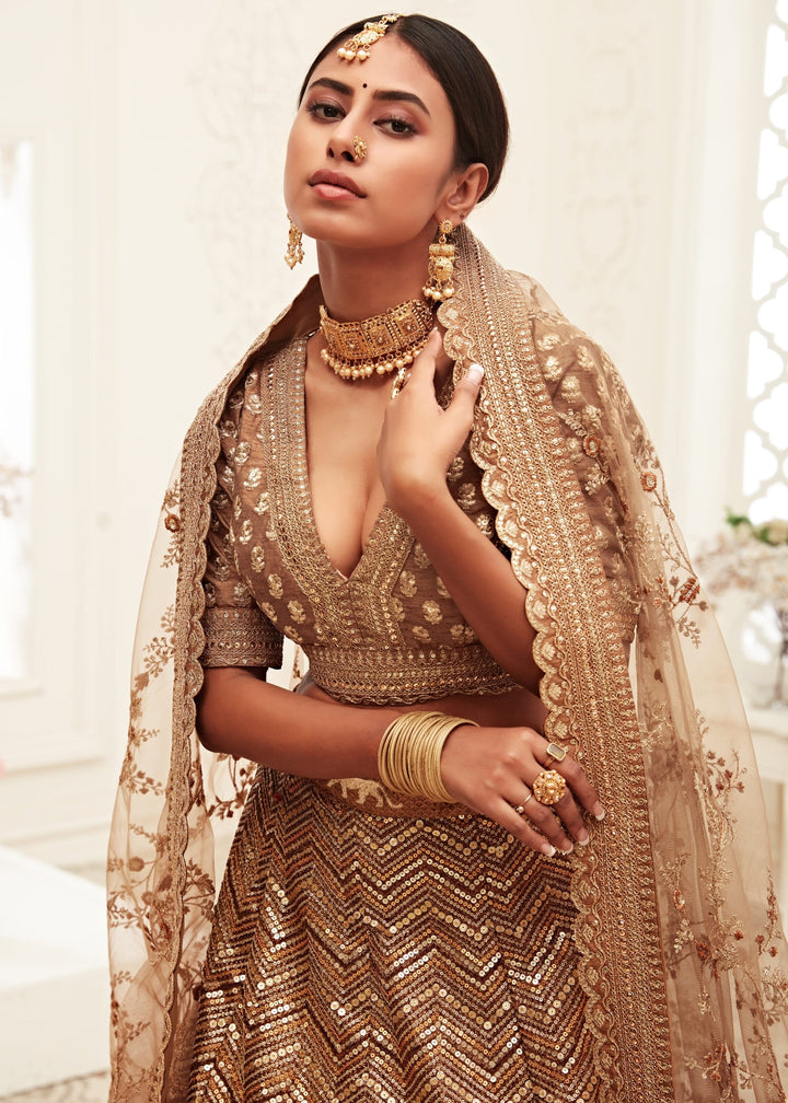 Brown Slub Silk Lehenga With Thread, Zari, Dori and Sequins Embroidery Work