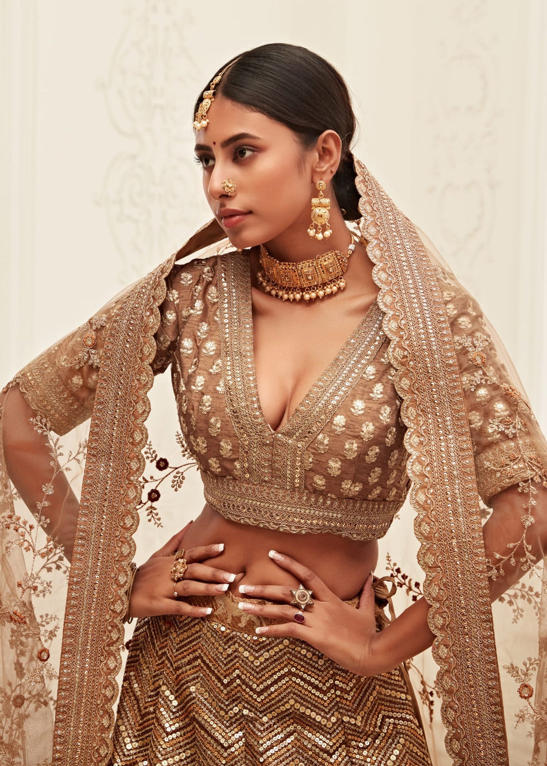 Brown Slub Silk Lehenga With Thread, Zari, Dori and Sequins Embroidery Work