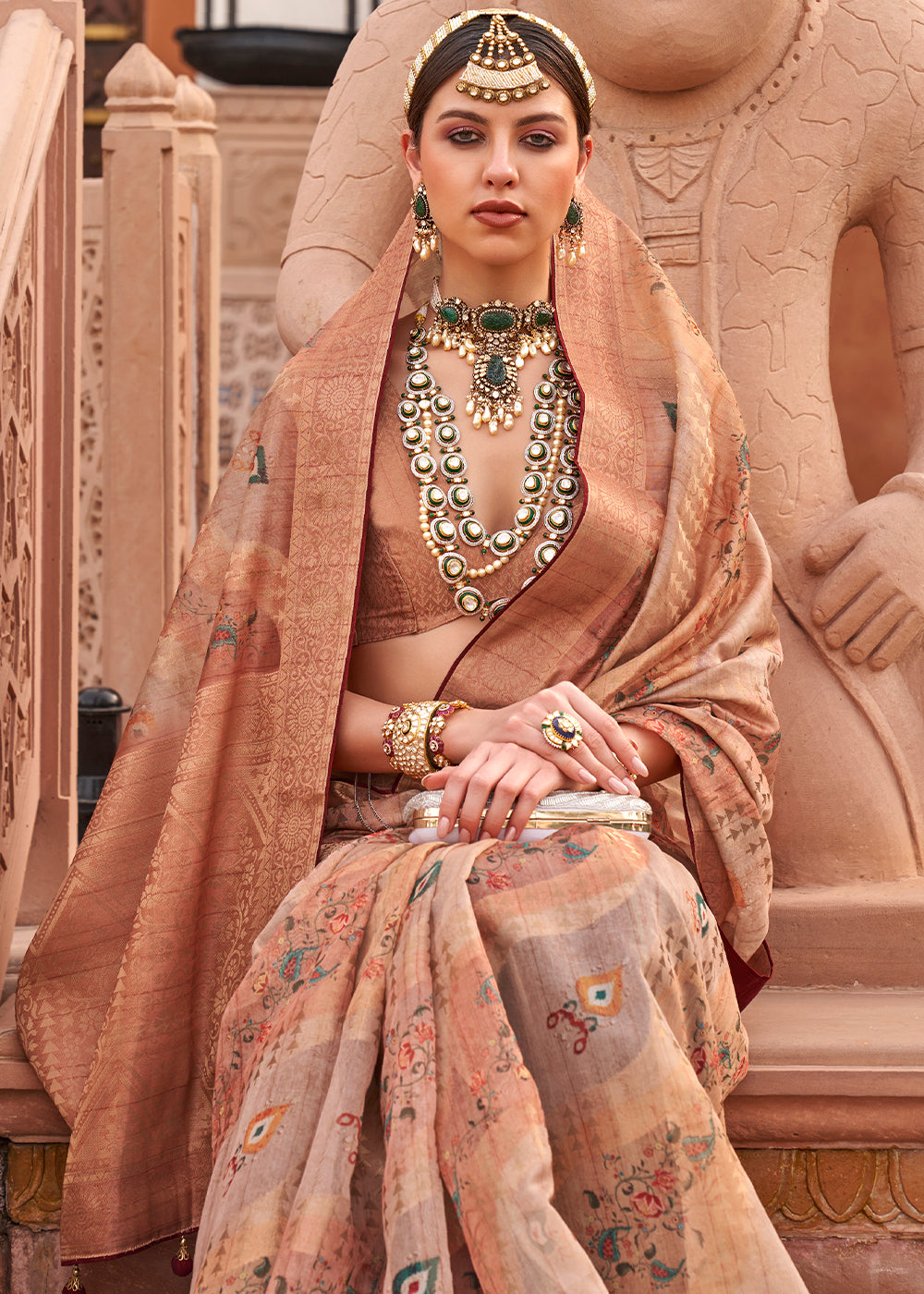 Shades Of Brown Digital Printed Organza Silk Saree