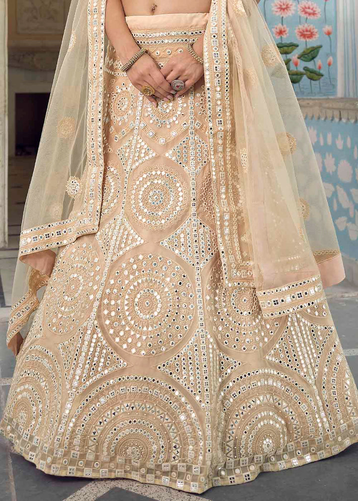 Bisque Brown Organza Lehenga Choli