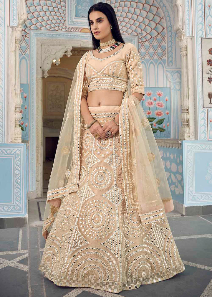 Bisque Brown Organza Lehenga Choli