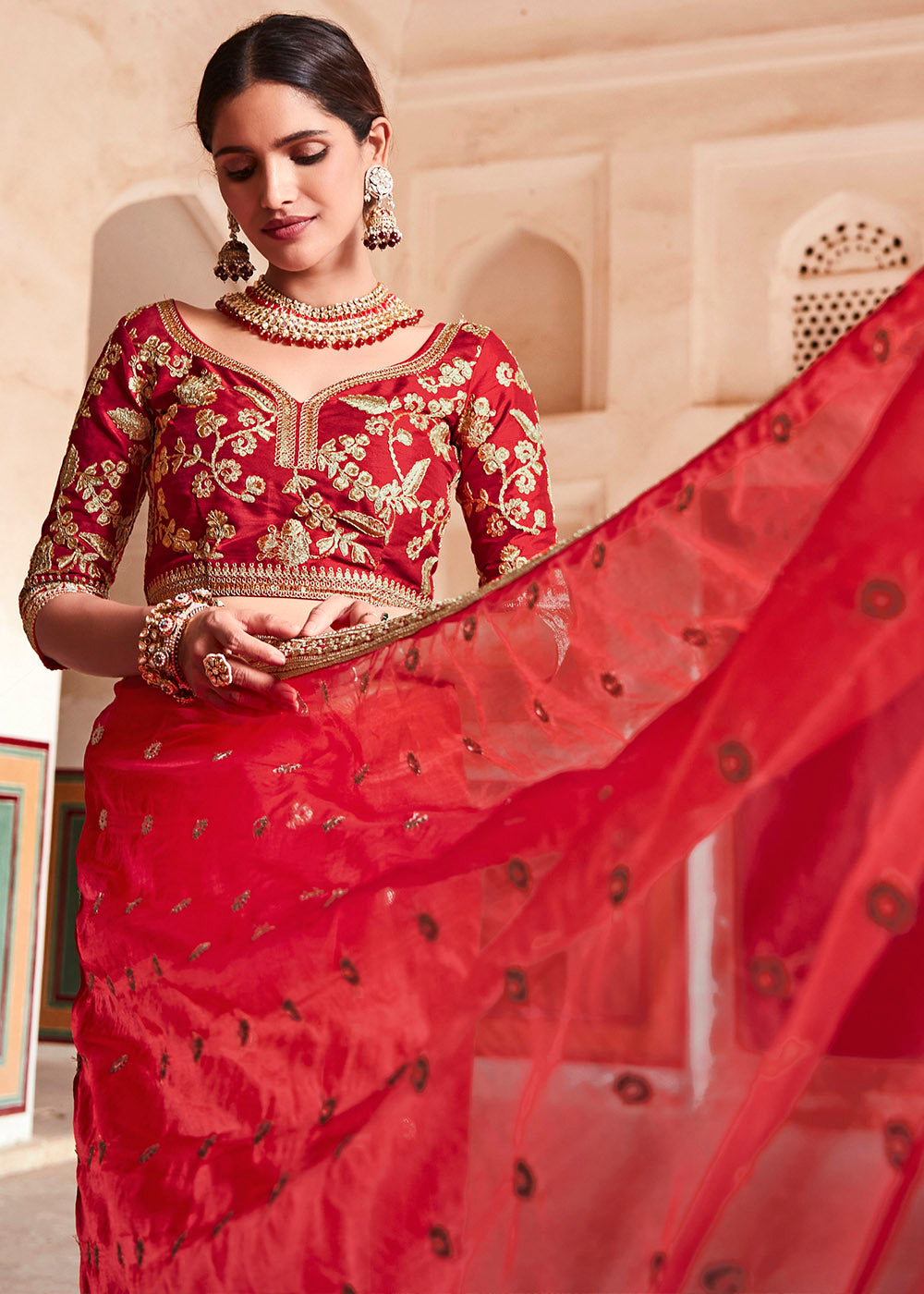Candy Red Organza Saree with Zari, Sequins & Dori work