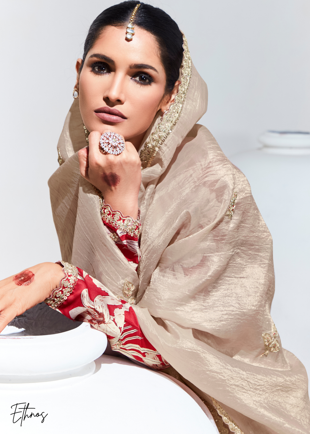 Biege Glass Tissue Organza Saree