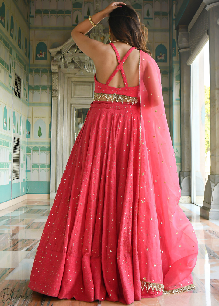 Crimson Pink Minimal-Panel Georgette Lehenga