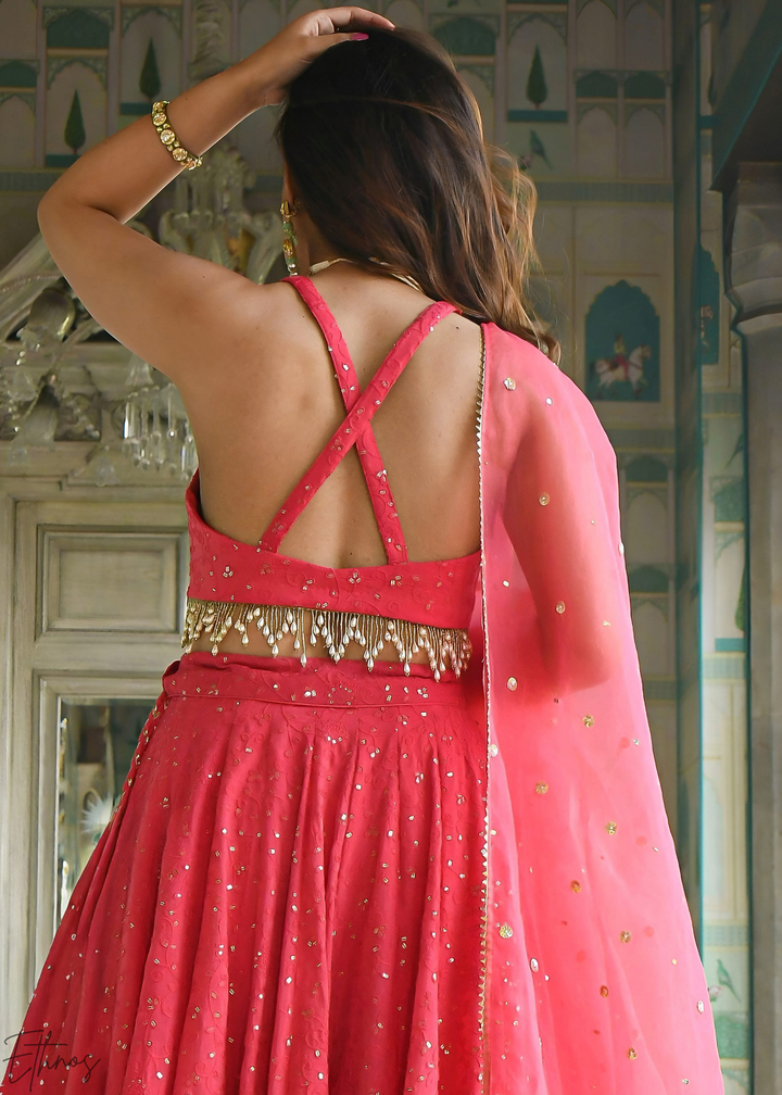 Crimson Pink Minimal-Panel Georgette Lehenga