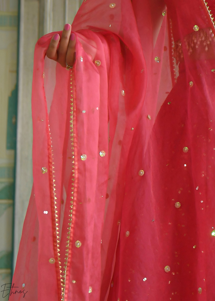 Crimson Pink Minimal-Panel Georgette Lehenga